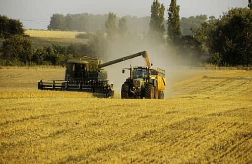 Aujourd'hui, la production française comprend plusieurs sortes d'agricultures : OGM, non OGM, traditionnelle, biologique... © DR