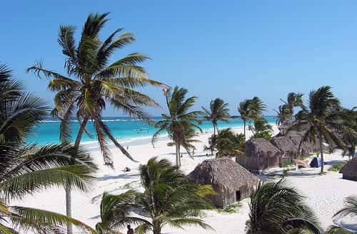 Palmier, sable blanc et eau turquoise… Un vrai paysage de carte postale sur les côtes du Yucatán ! © Hawkfish