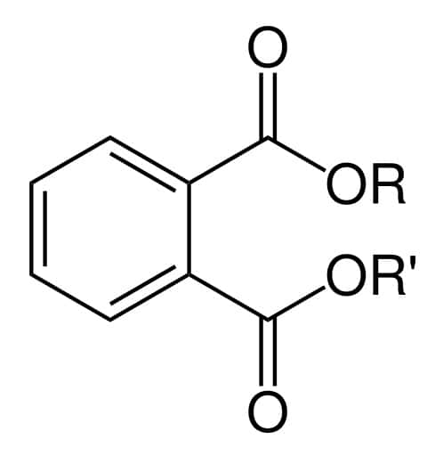 Les phtalates sont un ensemble de molécules composées d’un noyau benzénique et de deux groupements carboxyliques dont les chaînes alkyles (R) peuvent varier. © Bryan Derksen, Wikimedia, domaine public