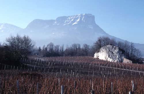 Le mont Granier (en arrière-plan), dans le massif alpin de la Chartreuse, a été le siège d’un écroulement cataclysmal en 1248 comme en témoignent les blocs cyclopéens épars des « Abîmes de Myans » (au premier plan, département de la Savoie). © J.-M. Bardintzeff