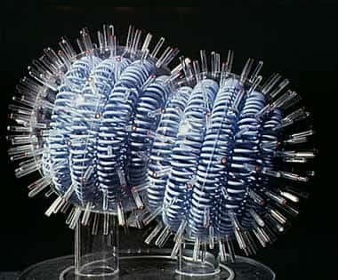 <em>Maquette du virus de la grippe - copyright M. Depardieu </em>