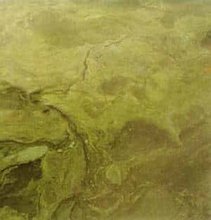Prolifération de cyanobactéries, des algues toxiques d'eau douce. © DR