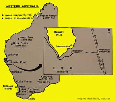 Carte de l'ouest de l'Australie : Shark Bay. © DR