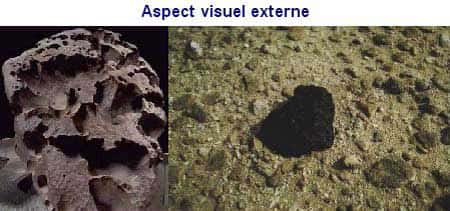 À gauche, la météorite de Willamette, tombée en 1906 dans la vallée de l'Oregon (États-Unis). Elle est exposée au Muséum américain d'histoire naturelle, à New York (AMNH, Hayden). À droite, une météorite tombée dans la plaine d'Oman, en Libye. Elle est facilement identifiable par sa croûte noircie et son poids supérieur aux roches terrestres de même taille. Sa croûte sombre peut toutefois disparaître avec les intempéries. © Document UARK