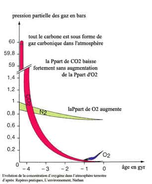 Graphique de l'atmosphère terrestre ancienne : évolution de la concentration d'oxygène, de -4 milliards d'années à notre ère. © DR, d'après <em>Repères pratiques</em>, Nathan