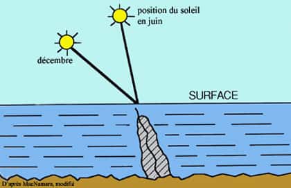 La croissance des stromatolites suit la direction du soleil. © DR