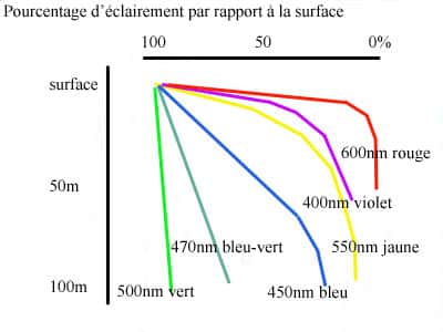 Pourcentage d'éclairement (différentes longueurs d'onde) dans un milieu aquatique, de 100 à 0 %, de la surface à -100 m. © DR