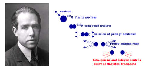 À gauche Niels Bohr (prix Nobel), à droite : fission d'un noyau selon N. Bohr, notez les déformations analogues à la fission d'une goutte de liquide. © DR