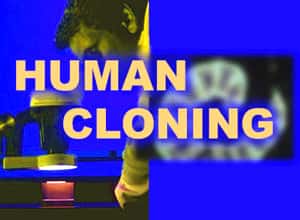 Le clonage humain n'est pas accueilli de la même façon dans tous les pays. © DR