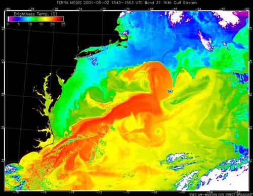 2 - Températures de surface du Gulf Stream. Les tourbillons, <br />équivalents des dépressions atmosphériques, vivent plusieurs mois voire <br />plus d'un an. 