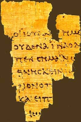 Papyrus