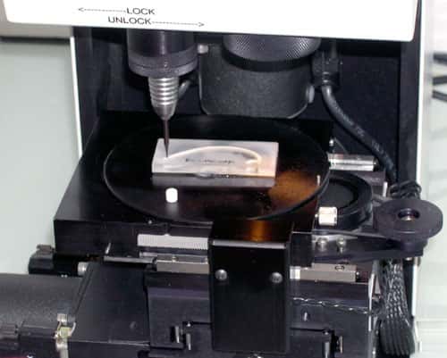 Section de coquille (enrobée dans de la résine) fixée sur la platine du micromill (Merchantek®) prête à être échantillonnée (longueur de la section ~ 4 cm). © C.E. Lazareth, IRD. Reproduction et utilisation interdites