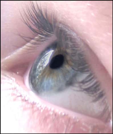L'œil humain, un regard expressif. © Reproduction et utilisation interdites 