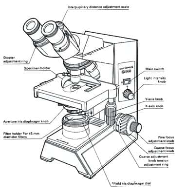 Microscope optique vue externe