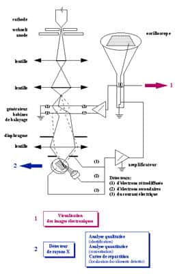 Microscope électronique : schéma de fonctionnement