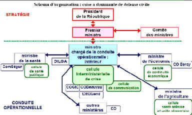Plan gouvernemental français de prévention et de lutte « Pandémie grippale ». © Assemblée nationale