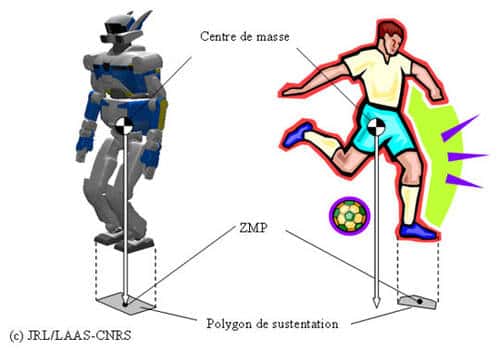 Le ZMP est à la base des mouvements dynamiques du robot HRP-2. © JRL/LAAS-CNRS