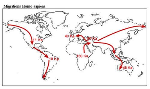 Migrations d'<em>Homo sapiens</em>. © DR