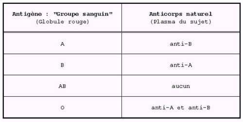 Tableau récapitulatif des différents antigènes de groupe sanguin et des anticorps associés. On remarque que les anticorps anti-A et anti-B sont associés à l’antigène O. © DR