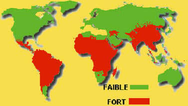 Carte de distribution du choléra dans le monde. La vaccination contre le choléra n'est plus disponible en France, compte tenu de sa faible efficacité. © DP