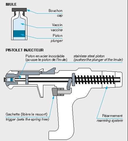 Le pistolet est l’un des moyens de lutte contre les infections dues à la vaccination. Il est plus rapide et plus propre qu’une seringue classique et demande moins de maintenance, tout en générant moins de déchets. © DR