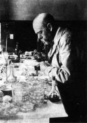 Koch dans son laboratoire 