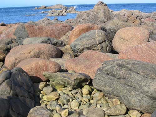 La grève bretonne, entre Perros-Guirec et Ploumanac'h, abrite les roches les plus vieilles roches d'Europe : des galets bleutés parmi les granites roses. © C. Frankel - Tous droits réservés 