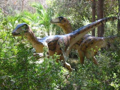Deux <em>Deinonychus</em>, des dinosaures carnivores, rôdent en liberté dans le Musée-Parc des Dinosaures, à Mèzes dans l'Hérault. Rassurez-vous : il s'agit de reconstitutions ! © C. Frankel - Tous droits réservés