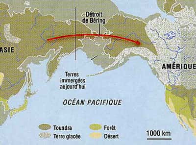 Béring - Migration 30 à 15.000 ans.