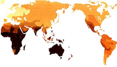 Distribution géographique de la pigmentation. 