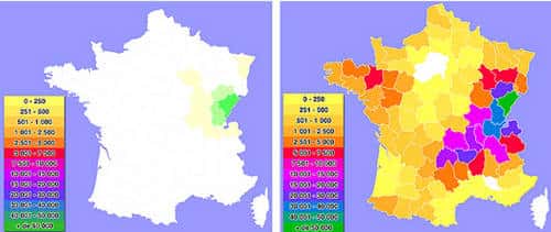 Évolution de la population montbéliarde en France de 1960 à 2005. © UPRA - Tous droits réservés