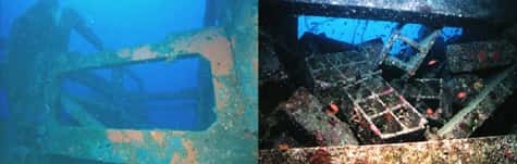 Figure 5 : Exemple de l’effet de l’architecture du récif sur son efficacité biologique (récif de Golfe-Juan, Alpes-Maritimes). © Figures et photos : E. Charbonnel - Tous droits réservés