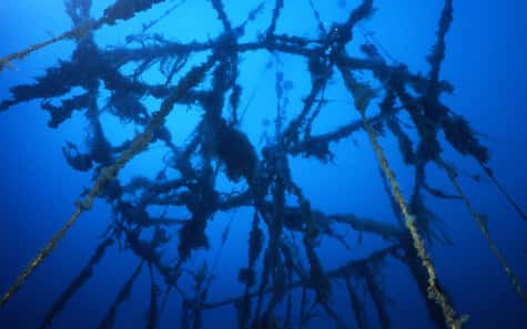 Exemple de mise en place d’un réseau de filières de pleine eau sur un récif artificiel. Cas du Parc national de Port-Cros. © Figure et photo E. Charbonnel - Tous droits réservés