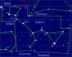 Constellation de la Baleine.