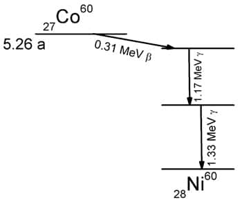 Transmutation radioactive bêta du cobalt 60 en nickel 60, suivie de deux désexcitations gamma du nickel 60 vers son niveau fondamental  © Wikipedia