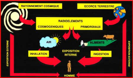 Sources de radioactivité © A.M. Noureddine CNRS-IRES Strasbourg