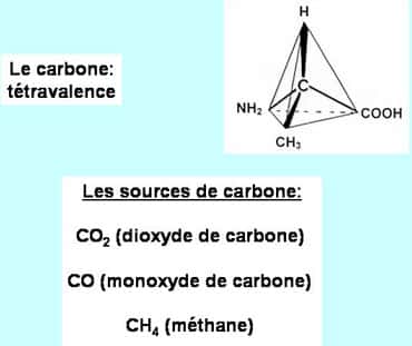 <br />Les acides aminés ont pu se former par réaction entre des dérivés gazeux du carbone et des molécules simples. © DR