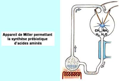 Stanley Miller a conforté l'hypothèse de composés chimiques formés dans l'atmosphère terrestre dominée par le méthane. © DR