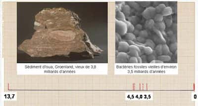 Traces de vie retrouvées datant de 3,8 et 3,5 milliards d'années. © DR