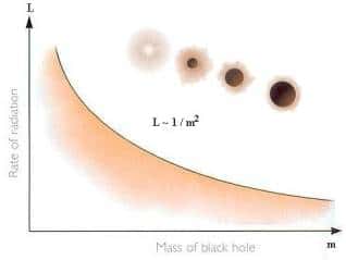 Plus un trou noir est léger plus sa température augmente et donc sa luminosité d'après la loi de Stefan-Boltzmann.