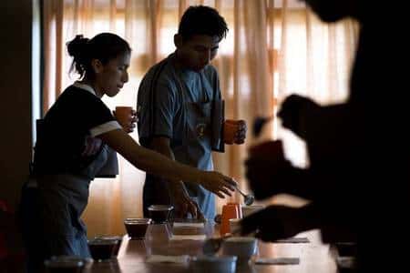 Séance de dégustation organisée par la Fédération bolivienne des producteurs de café à Coroico, dans les Yungas. Avant de passer devant un jury international d'experts, des échantillons sont goûtés par des enfants de producteurs spécialement formés. Depuis dix ans, le commerce équitable et les projets d'appui au développement ont permis d'améliorer grandement la qualité d'une origine de café qui a souffert d'une mauvaise réputation et d'une décote sur les marchés mondiaux.<br />© Max Haavelar - Photo Bruno Fert - Tous droits réservés