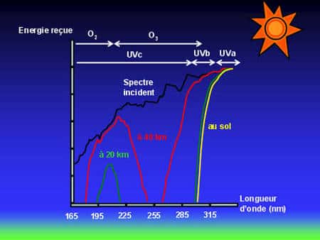 Figure 8 : Spectre solaire incident et absorption de celui-ci en fonction de l’altitude. Au niveau du sol, le rayonnement ultra violet a quasiment disparu. Seuls restent les UVa et un peu d’UVb pour le bronzage (© J. Savarino).