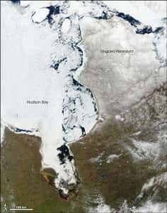 Péninsule d'Ungava en bordure de la baie d'Hudson. © <a target="_blank" href="http://www.earthobservatory.nasa.gov/">www.earthobservatory.nasa.gov</a>
