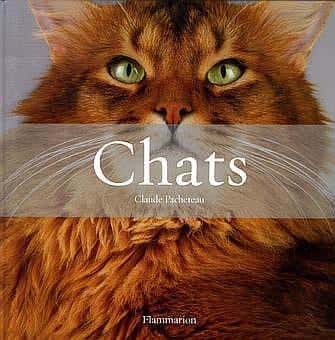 <a href="http://www.amazon.fr/gp/redirect.html?ie=UTF8&location=http%3A%2F%2Fwww.amazon.fr%2FChats-Coffret-volumes-Histoires-chats%2Fdp%2F2081201410&tag=futurascience-21&linkCode=ur2&camp=1642&creative=6746" target="_blank">Cliquez ici pour acheter le livre</a>.