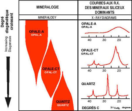 Relations entre diagenèse, minéralogie et lithologie des roches siliceuses de la Formation de Monterey (d'après Pisciotto et Garrison, 1981). 