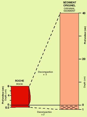 Compaction liée à la diagenèse. Épaisseur actuelle des alternances de radiolarites du Pinde-Olonos (Grèce) et évaluation de ce qu'elles devaient être à l'origine avant la compaction liée à la diagenèse. On notera la variation des facteurs de décompaction (de 5 et 2) entre les niveaux holosiliceux et niveaux argilo-siliceux. 