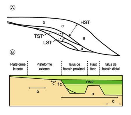 Séquence de dépôt liée aux upwellings (A) et distribution des divers faciès siliceux (B), à partir des dépôts néogènes du Pacifique (d'après Garrison, 1992). a : porcelanites finement litées (HST et LST) ; b : dépôts siliceux massifs (HST) ; c : alternance de roches massives et laminées, paraséquence en HST ; d : cherts, faciès de bassin distal ; OMZ : zone à minimum d'oxygène ; LST : lowstand system tract ; TST : transgressive system tract ; HST : highstand system tract.
