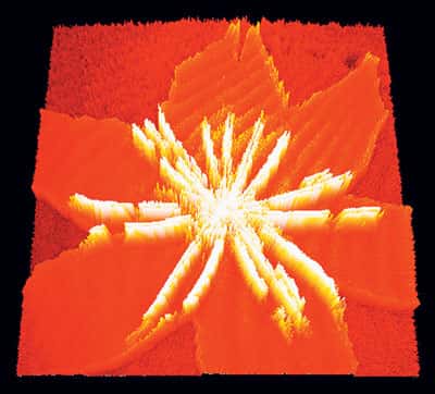 Organisation supramoléculaire de la protéine LRAT adsorbée à l'interface air-eau sur une monocouche de DMPC ; représentation en 3D d'une image BAM. © Belin, livre <em>Les Nanosciences</em>, Tome 3, S. Bussières, B. Desbat, R. Breton et C. Salesse