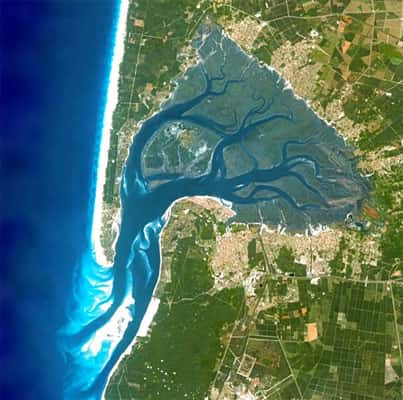 Vue du bassin d'Arcachon par satellite. © DR