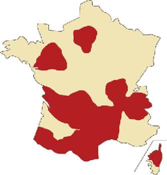 Carte de France de la répartition des châtaigniers.